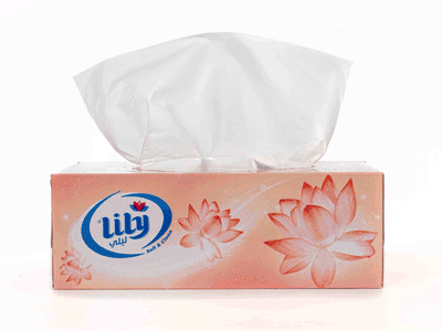 Lily Office Tissues - 100 Tissues