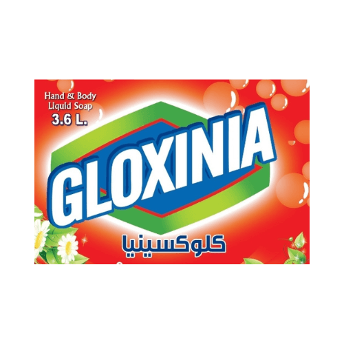 Gloxina
